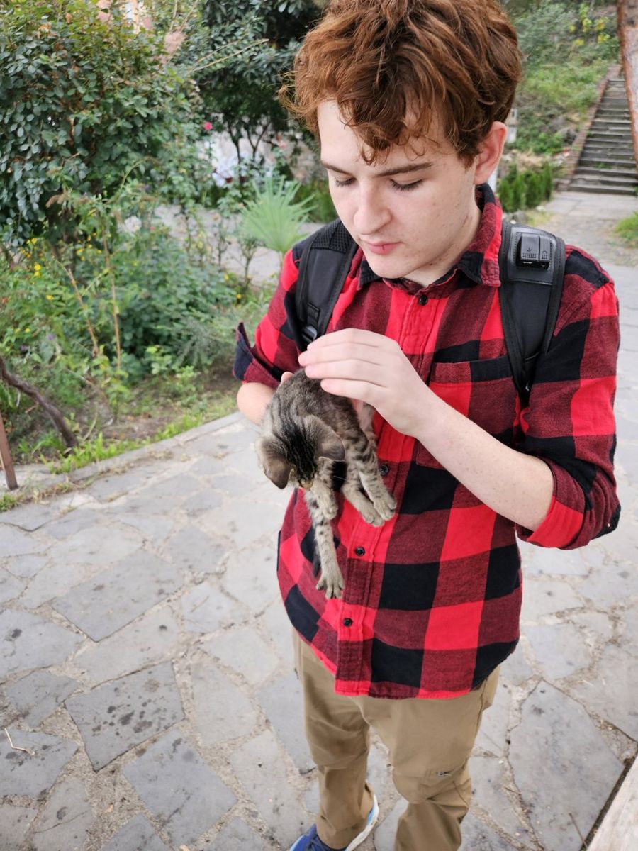 Cameron holding a street cat on a path in Tbilisi